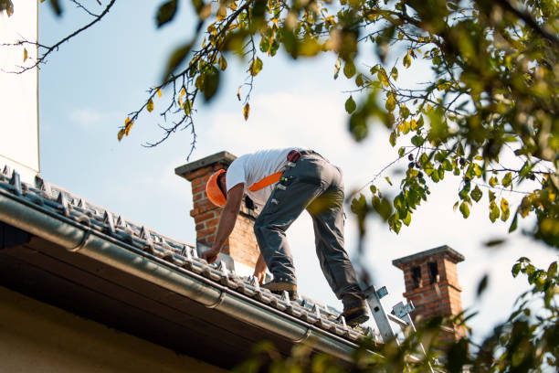 Best Commercial Roofing Services  in Fennimore, WI
