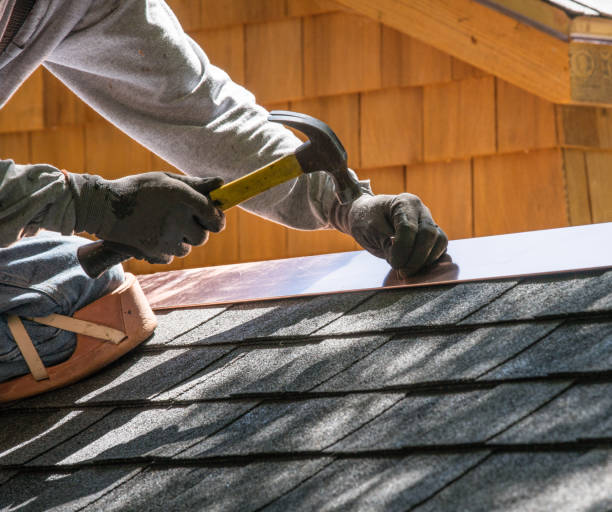 Best Roof Gutter Cleaning  in Fennimore, WI